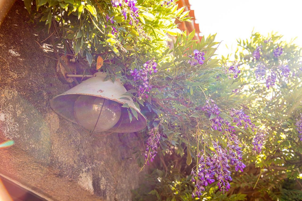 Le Mas Des Roches Proche Puy Du Fou Bed & Breakfast Saint-Paul-en-Pareds Exterior photo